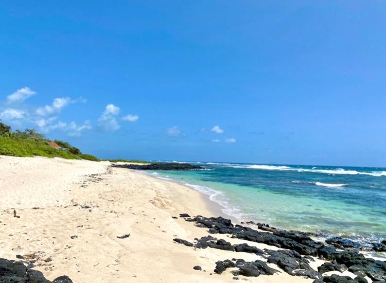 East Coast Beachfront Luxury - Eastern Blue Apartments Poste Lafayette Extérieur photo
